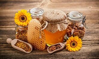 apitherapy for the treatment of varicose veins of the legs